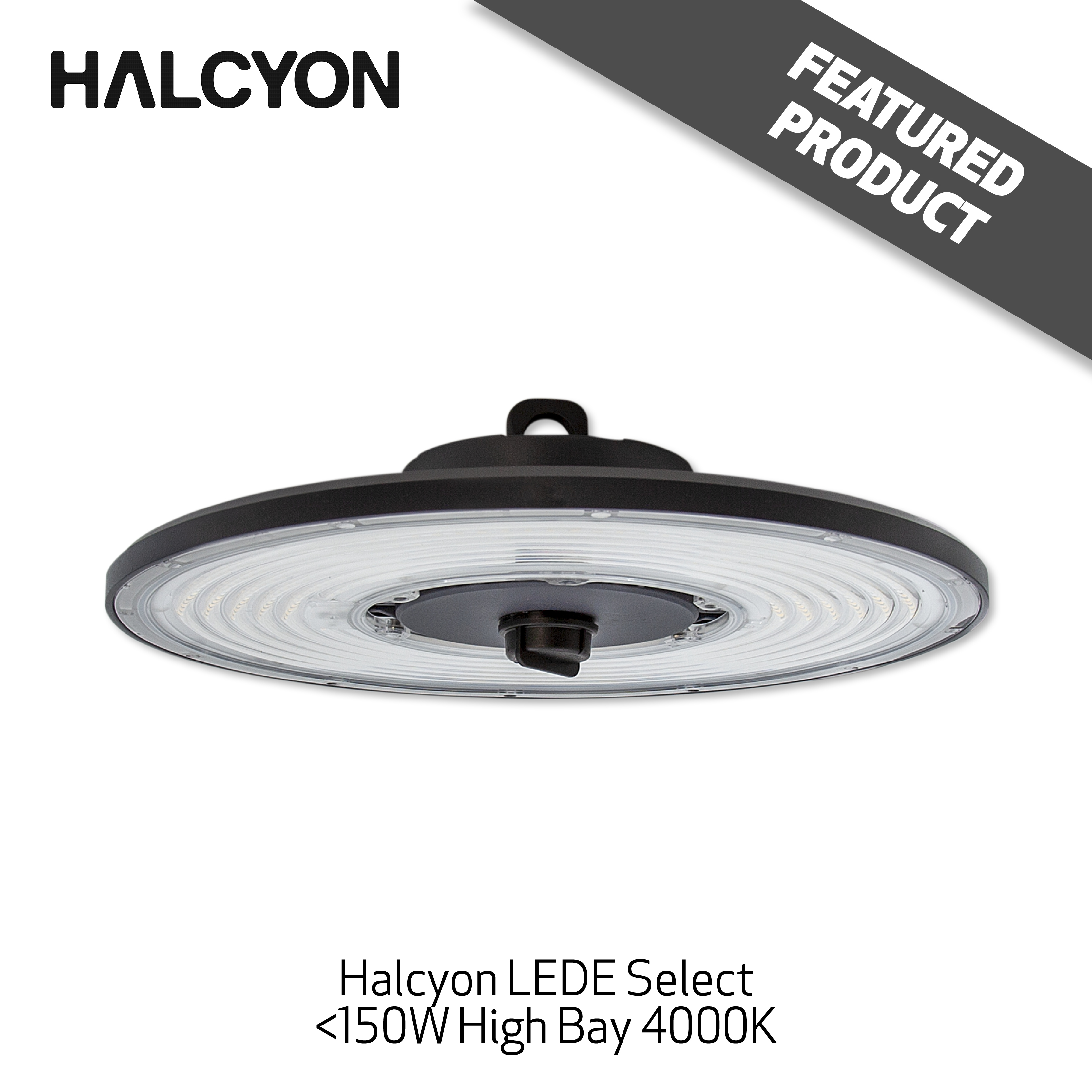 @S Feb/Mar - 6 - Featured Halcyon