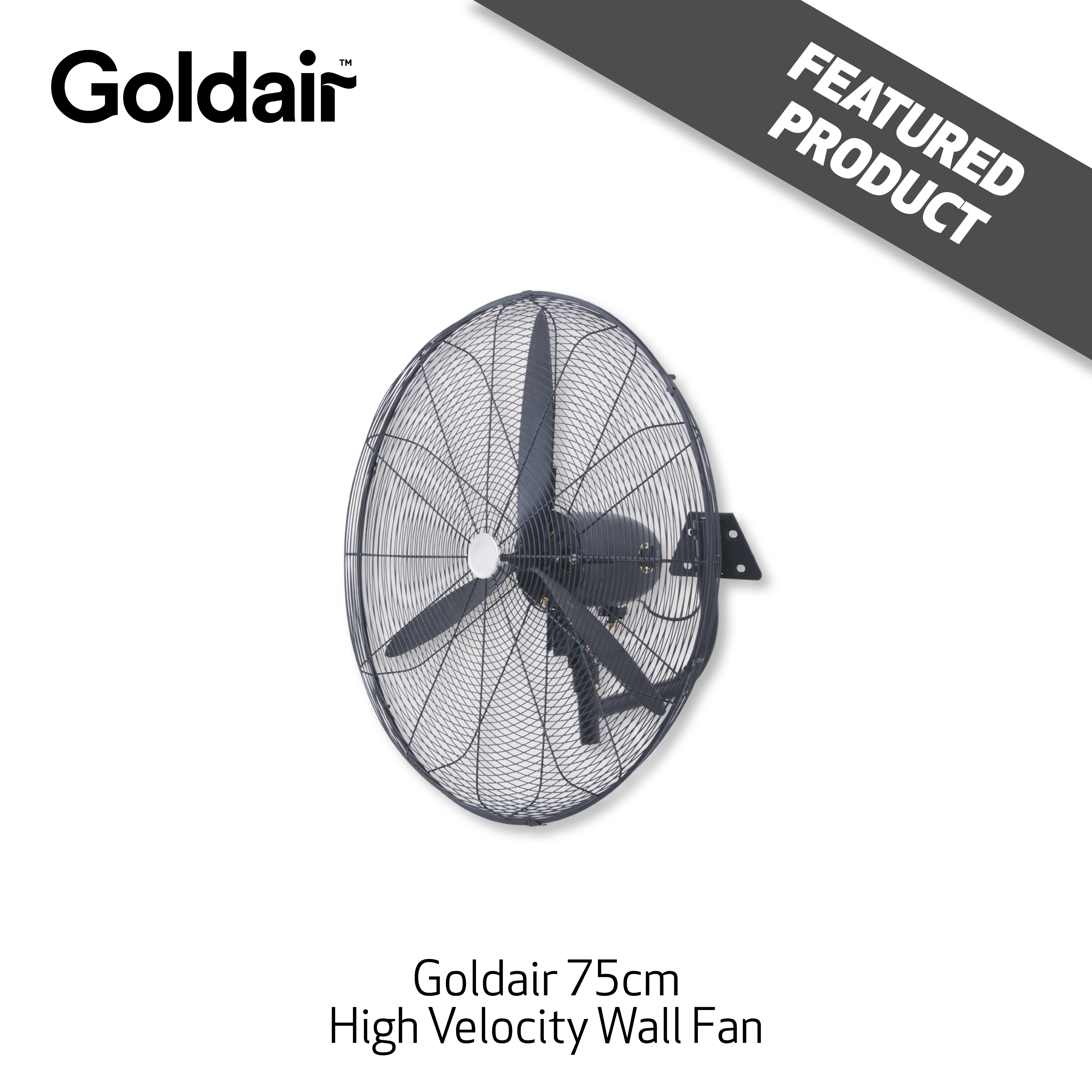 @S Feb/Mar - 7 - Featured Goldair 1