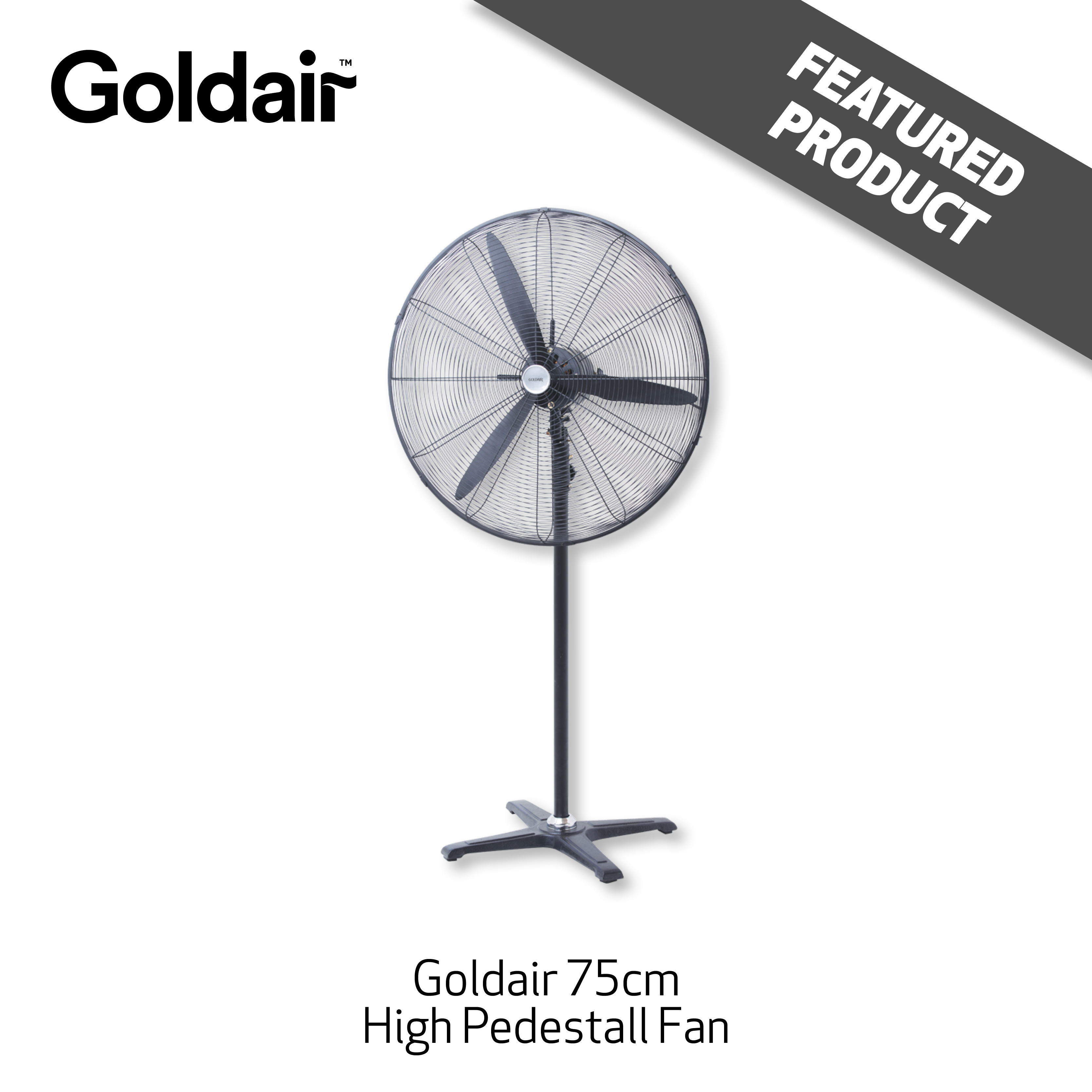 @S Feb/Mar - 8 - Featured Goldair 2