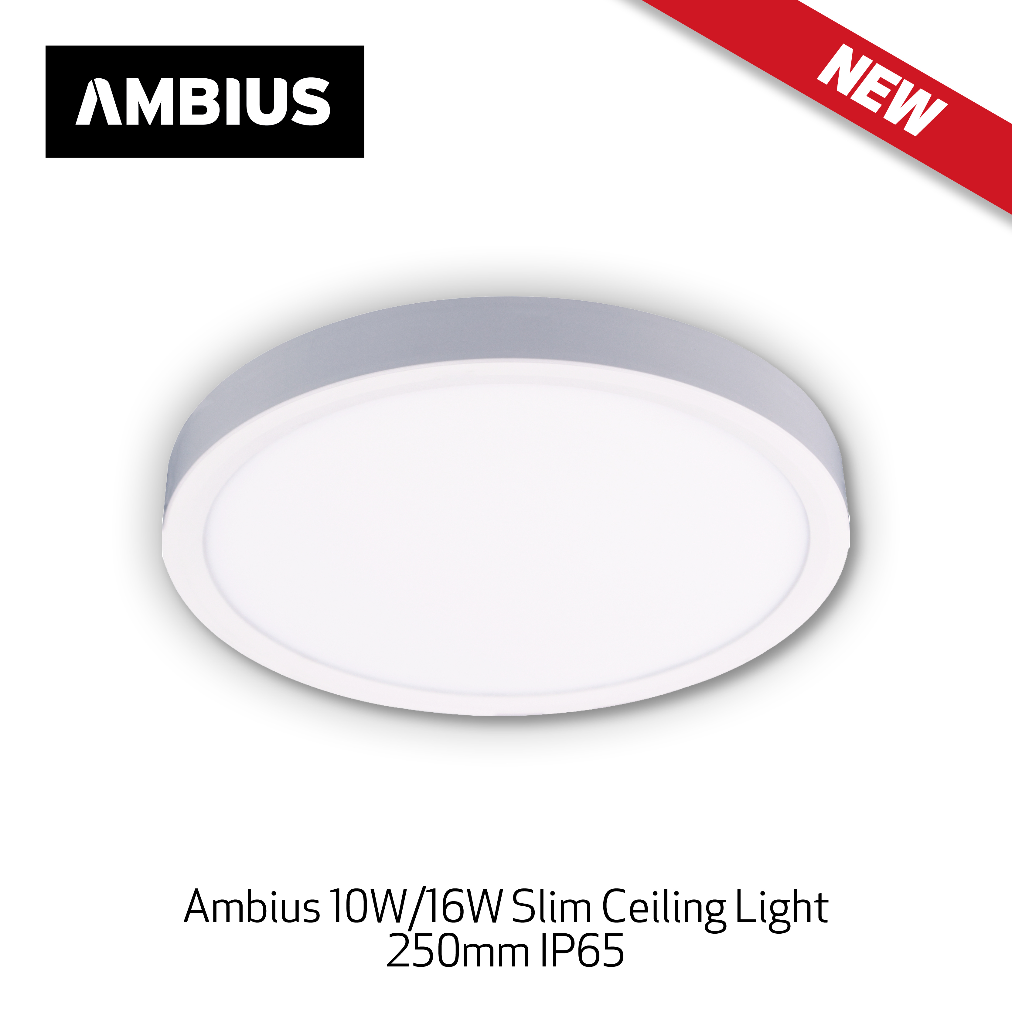 @S Feb/Mar - 5 - New Ambius 2