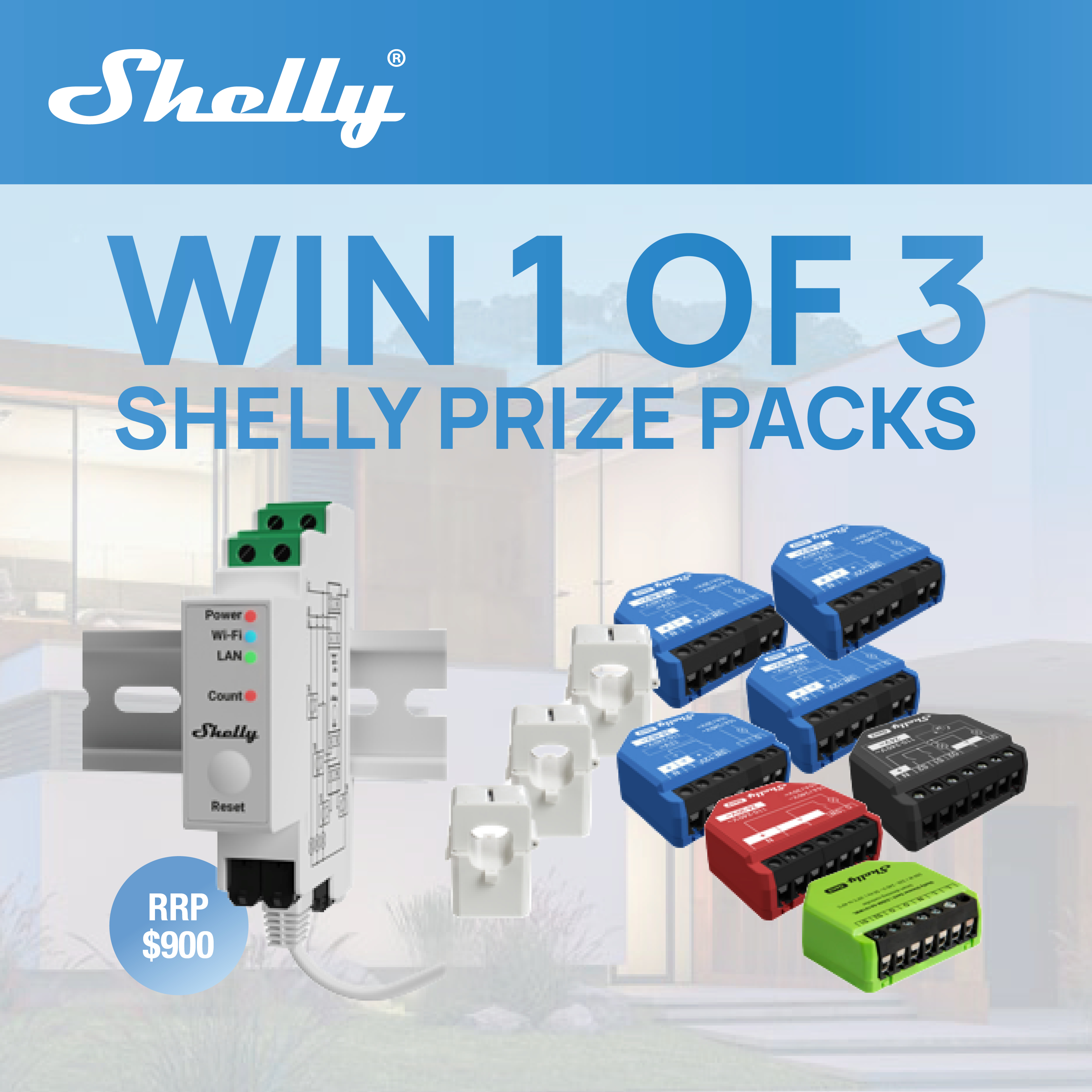 @S Feb/Mar - 14 - Shelly