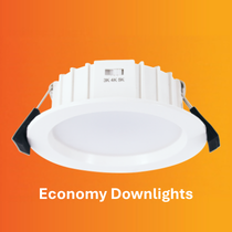 Economy Downlights
